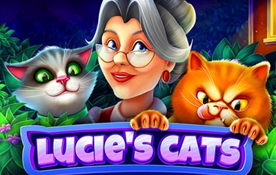 Lucie's Cats